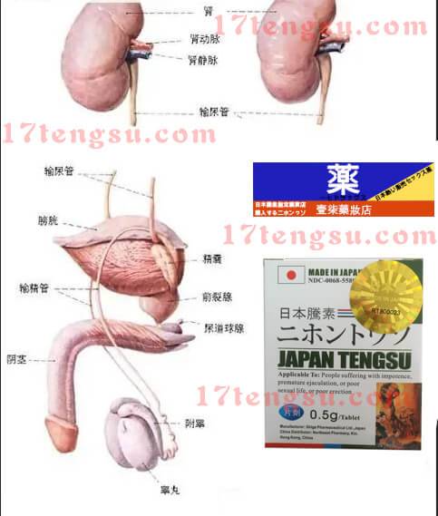 1日本藤素是壯陽藥還是倒陽藥？